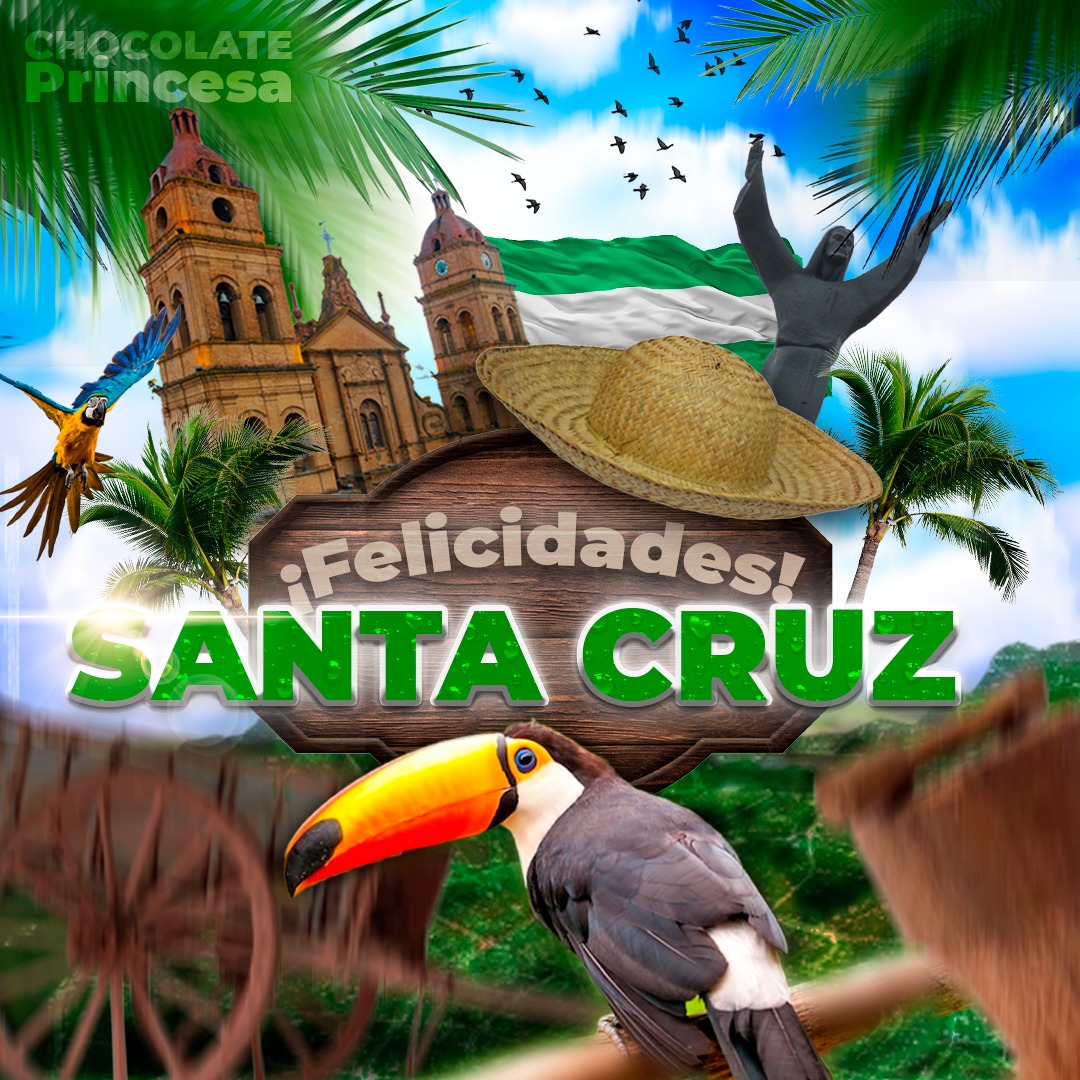 Diseño de portafolio: 1000002222