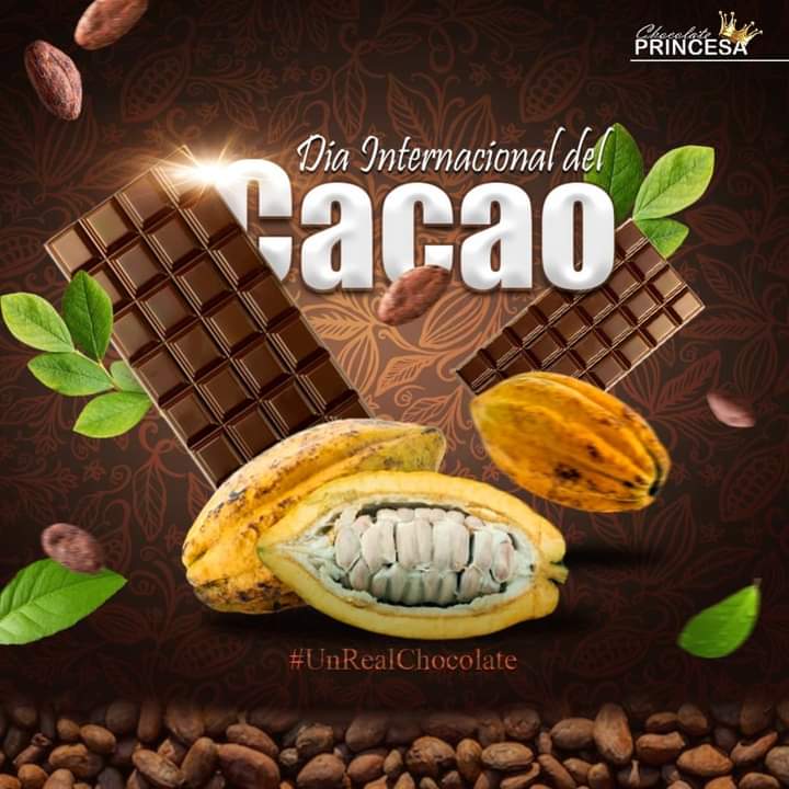 Diseño de portafolio: 1000002397