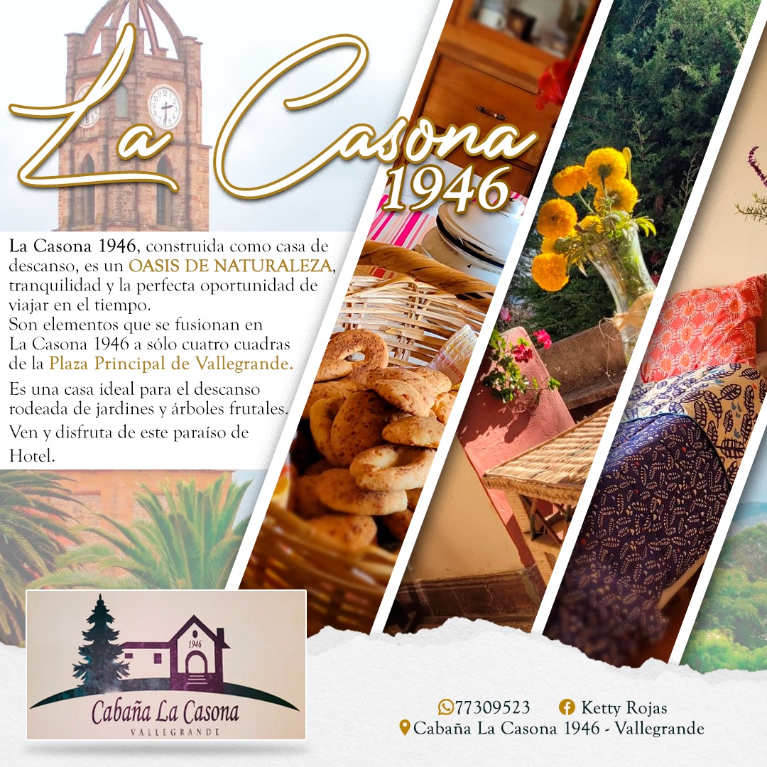Diseño de portafolio: 1000004690